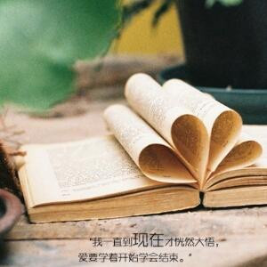 平静的心