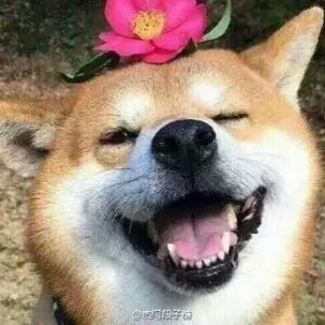 耶子呀