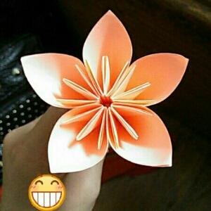 花之琪