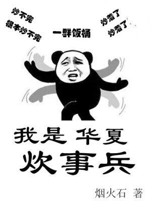 我是华夏炊事兵[机甲]