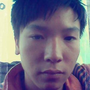 樵野书生