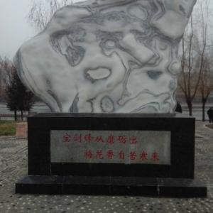 秋雨