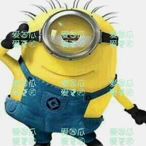 楠楠