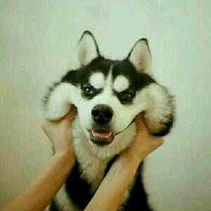 向日葵微笑