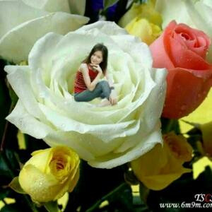 只为找到有心人