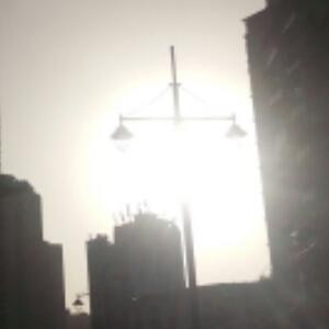 池鱼