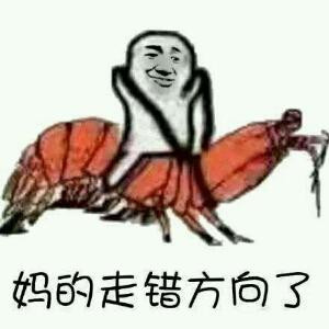 少爷的Z11