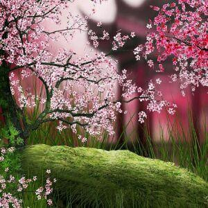 大雪小雪又一年