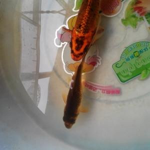 行成于思