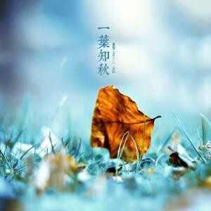 冬天