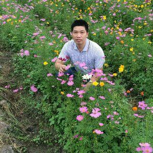 美丽蕉岭一一廖