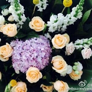 琳妞妞