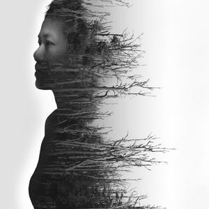 借一丝安慰