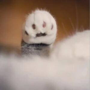 呵呵呵