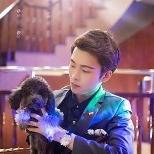 繁华落尽与君老