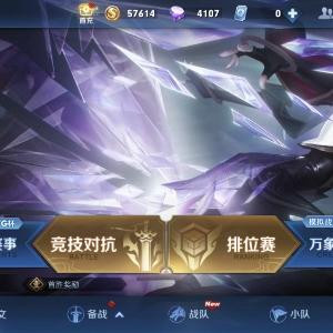 哈哈哈你个笨蛋