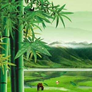 静思