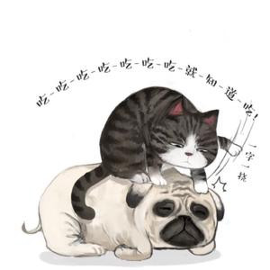 不吃青草的小猫