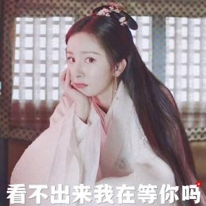 小蜜蜂