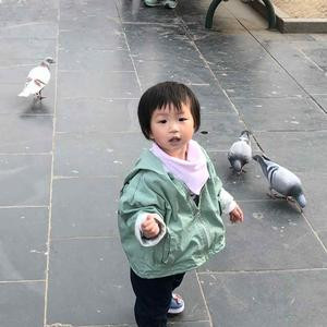沧海蝴蝶