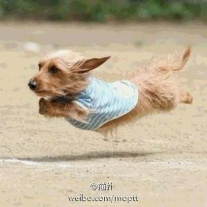 红袖添汤
