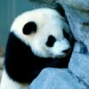 寒叶