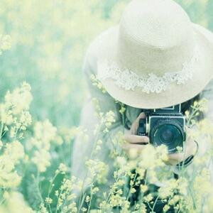 羁鸟何日归旧林