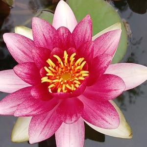 涂涂