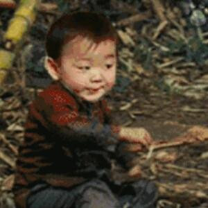 惏圤