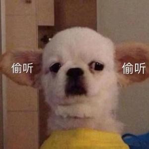 青城