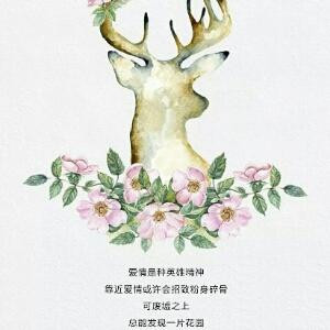 漫步云端