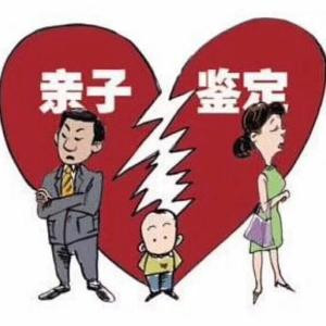 晓晓
