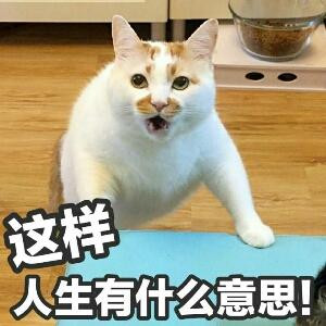 小瑾