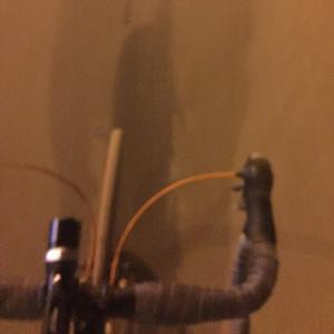 segun家族