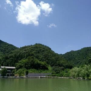 萌萌荙