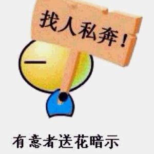 书生