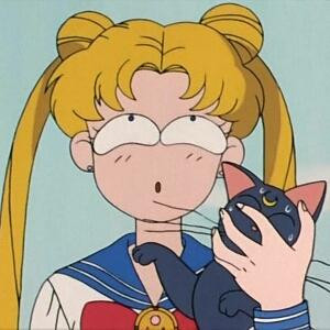 猛鸷