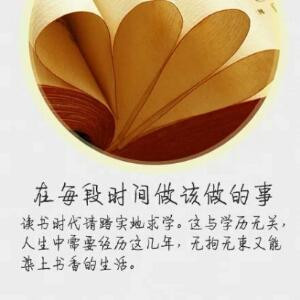 归来