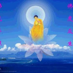 听夜619