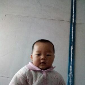 白玉兰