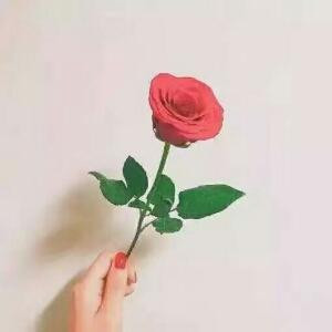 冰淇凌的小甜蜜