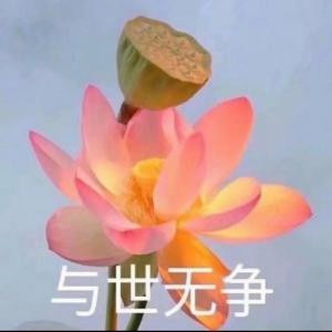 春日恋桃记
