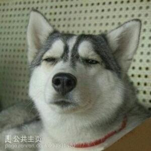 靳继华GG