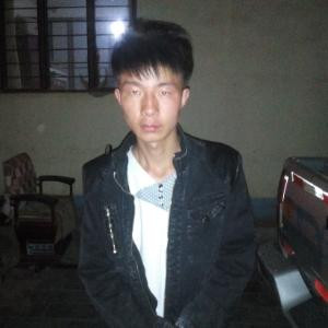 阔叶