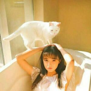 怀中猫