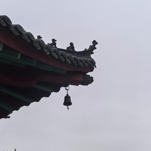 吟风以归