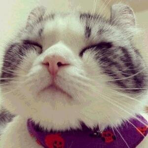 好吃懒惰的魏丶