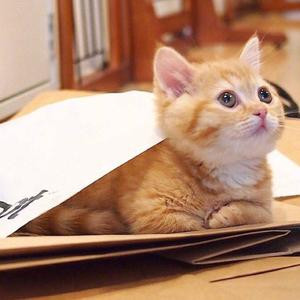 我的事情我做主