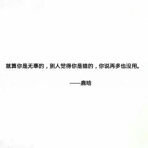 恋琪恋宇