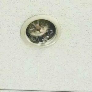 满堂娇